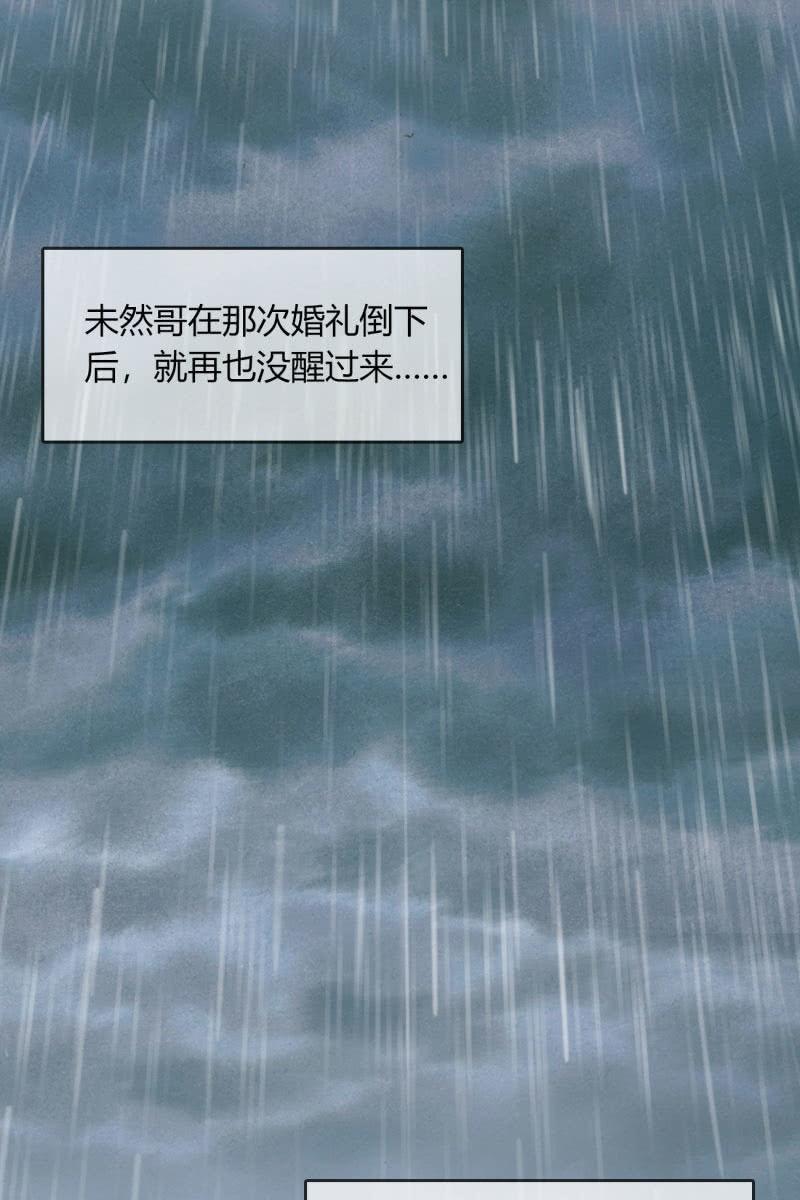 《总裁大人的甜蜜小女巫》最后的婚礼 第22页