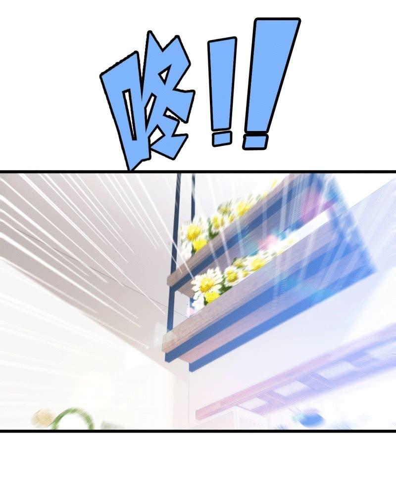 《总裁大人的甜蜜小女巫》麻烦 第23页