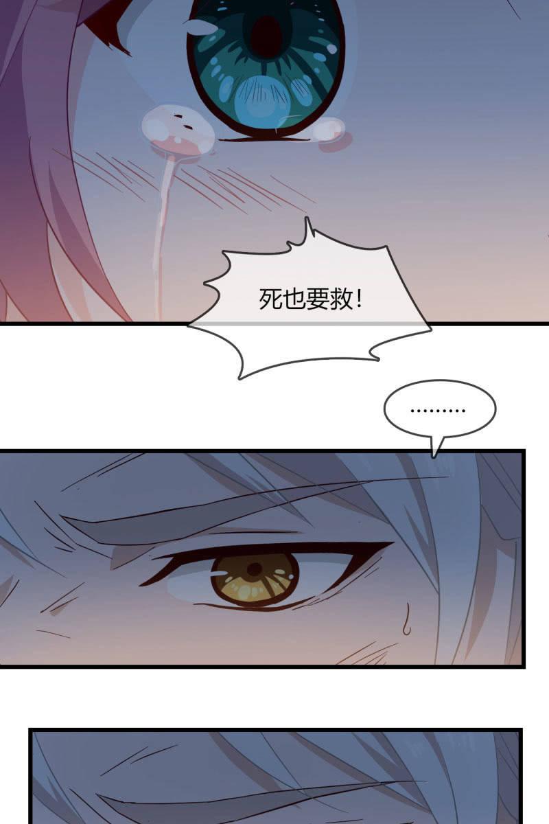 《总裁大人的甜蜜小女巫》自救 第14页
