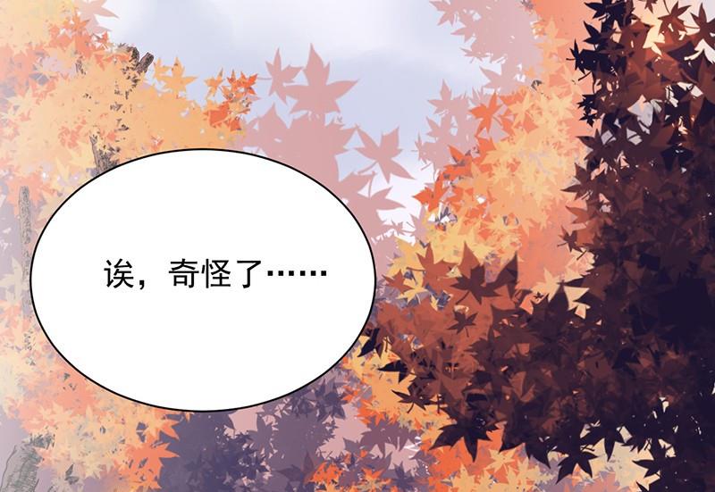 《惹上首席帝少》第二部第63话 顾南勋不见了 第4页