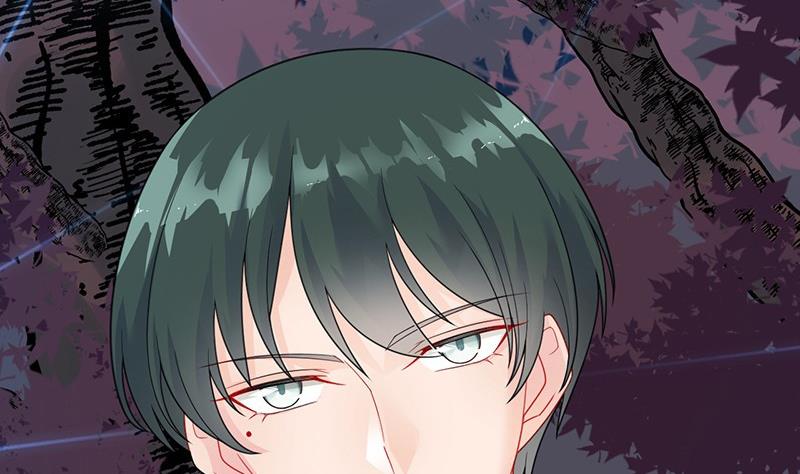 《惹上首席帝少》第二部第65话 他来了 第5页