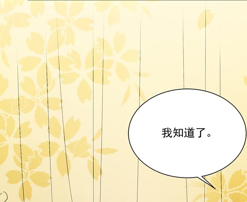 《惹上首席帝少》第二部第67话 不会丢下你 第31页