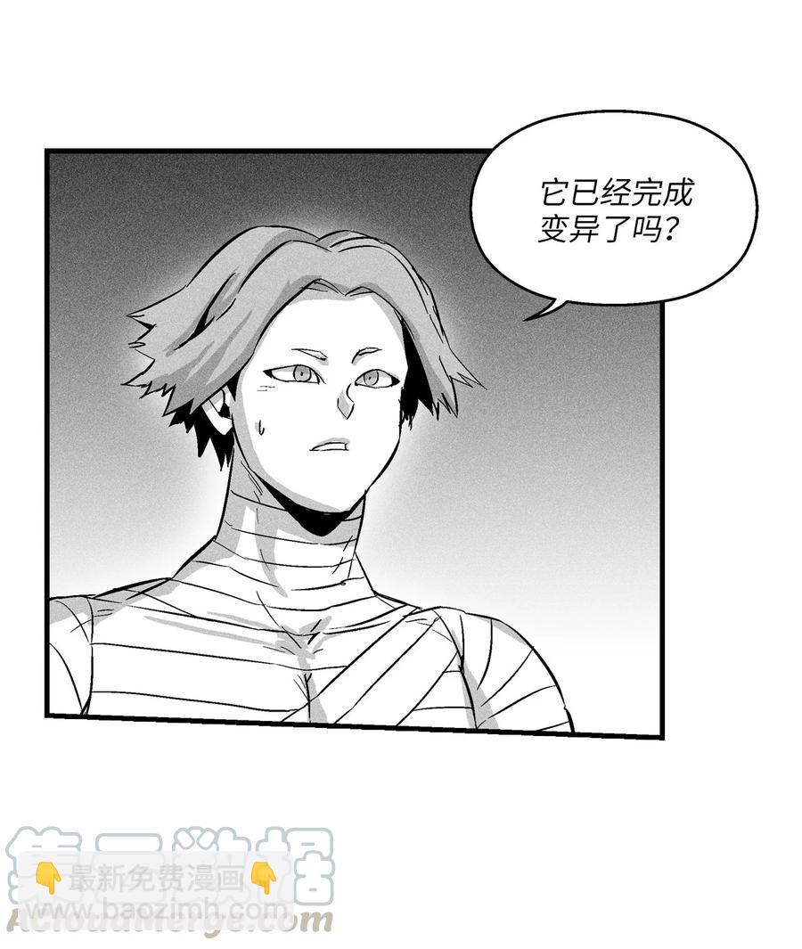 《降兽至尊》027 丛林妖气 第49页