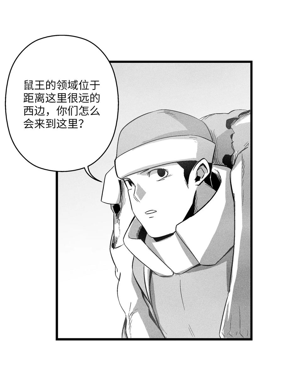 《降兽至尊》064 被鼠王觊觎的原因 第15页