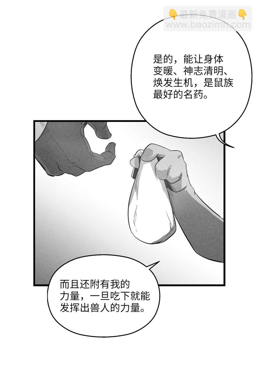 《降兽至尊》064 被鼠王觊觎的原因 第44页