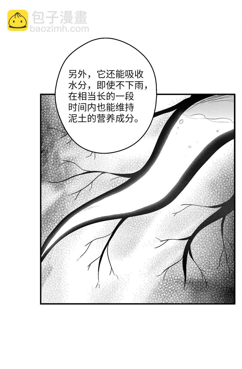 《降兽至尊》118 驯化妖怪的计划 第48页