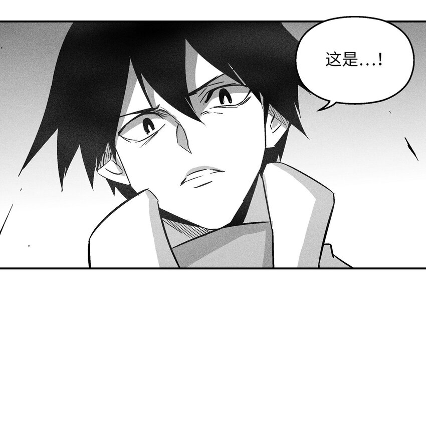 《降兽至尊》148 同归于尽 第47页