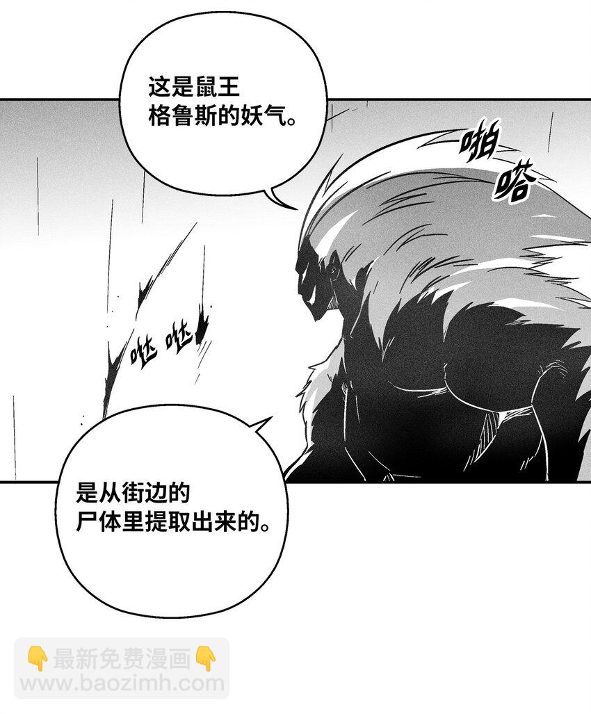 《降兽至尊》148 同归于尽 第48页