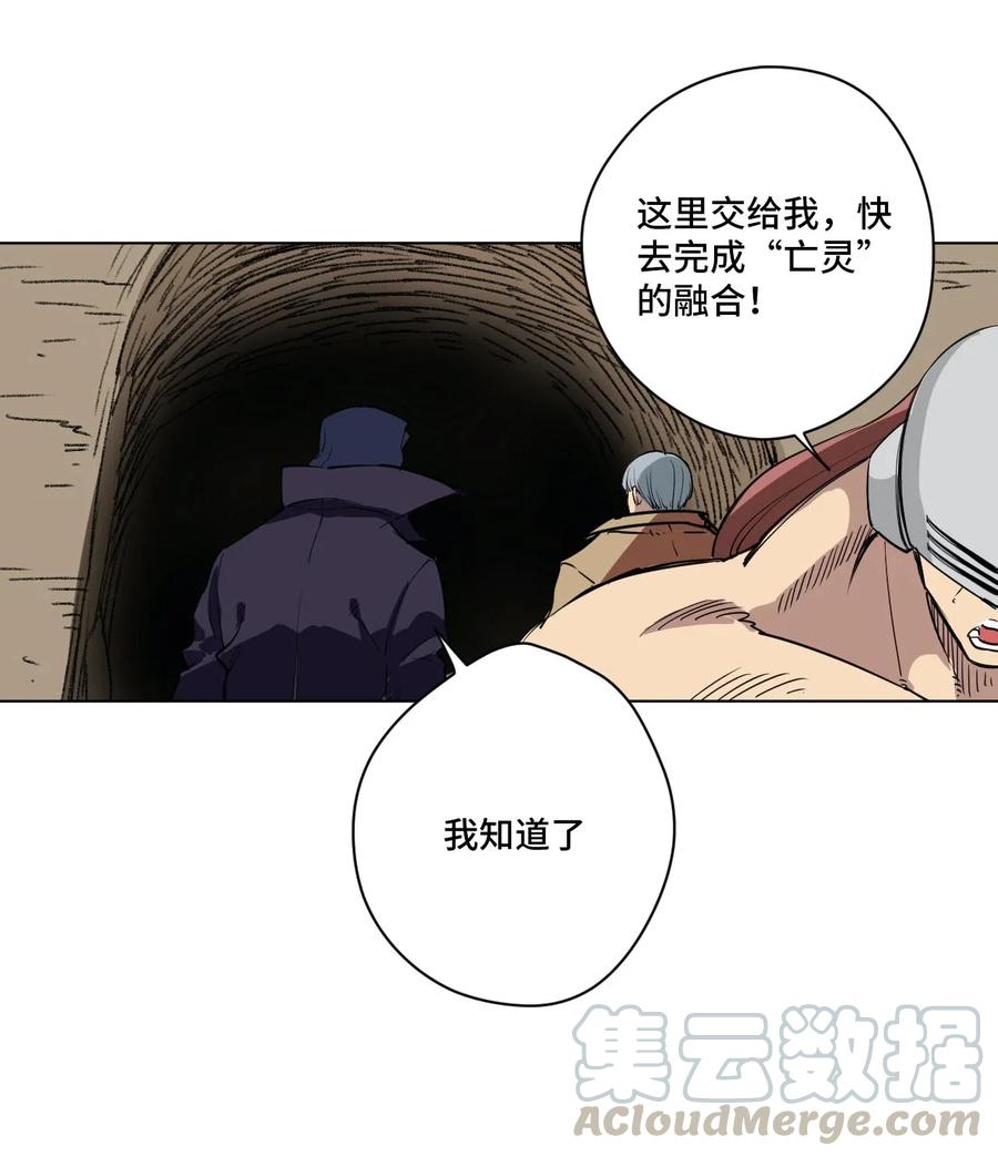 《厄运之王》219 真假空幻 第13页