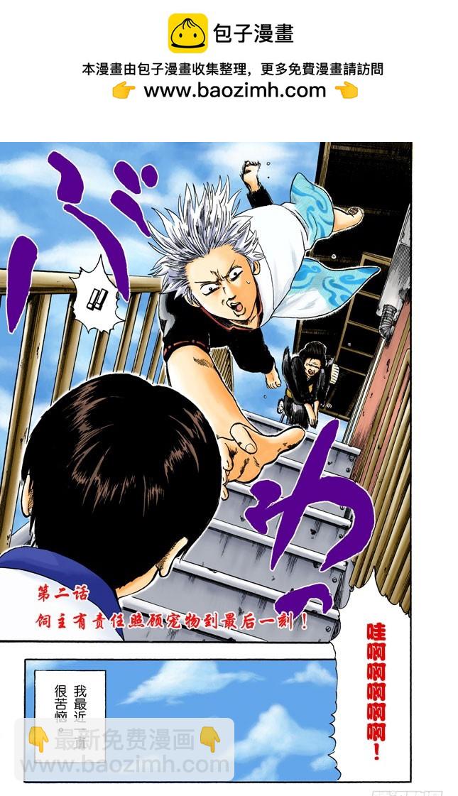 《银魂（全彩版）》饲主有责任照顾宠物到最后一刻！ 第3页