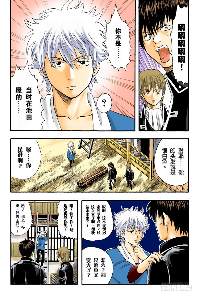 《银魂（全彩版）》打架就是要靠拳头 第8页
