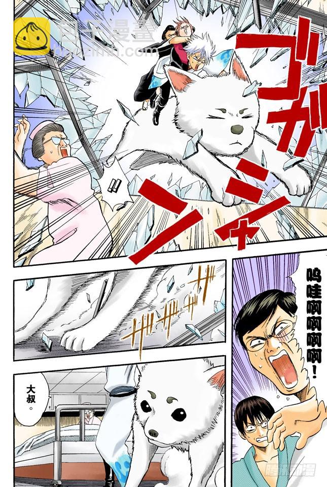 《银魂（全彩版）》压扁了的丸子根本就不算是丸子 第16页