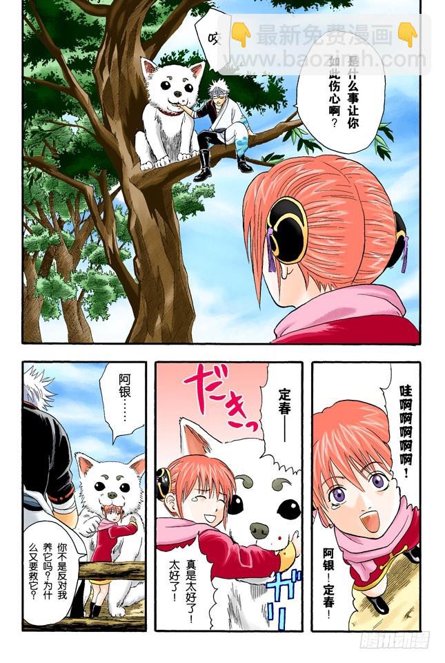 《银魂（全彩版）》感觉疲惫时，就多吃点酸的东西！ 第20页