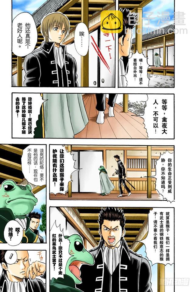 《银魂（全彩版）》摸青蛙是成为真男人的怪规则 第7页