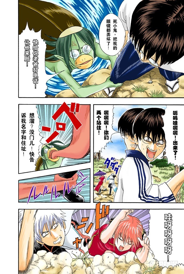 《银魂（全彩版）》是男人就要钓旗鱼！ 第4页
