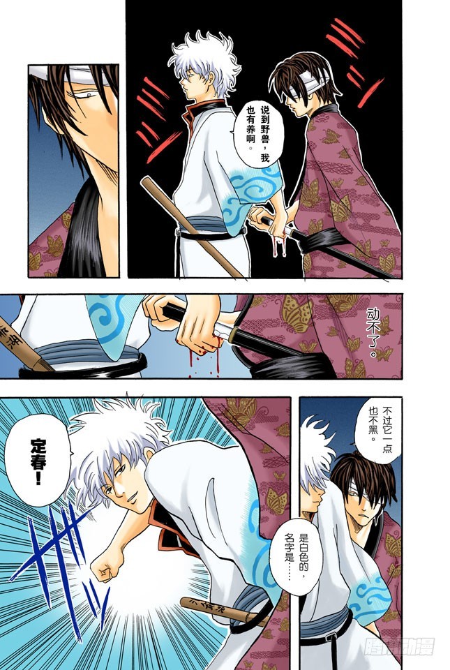 《银魂（全彩版）》父子在令人讨厌的地方上很像 第7页