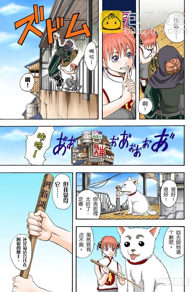 《银魂（全彩版）》不必惊慌！还是有冻结期制度的！ 第17页
