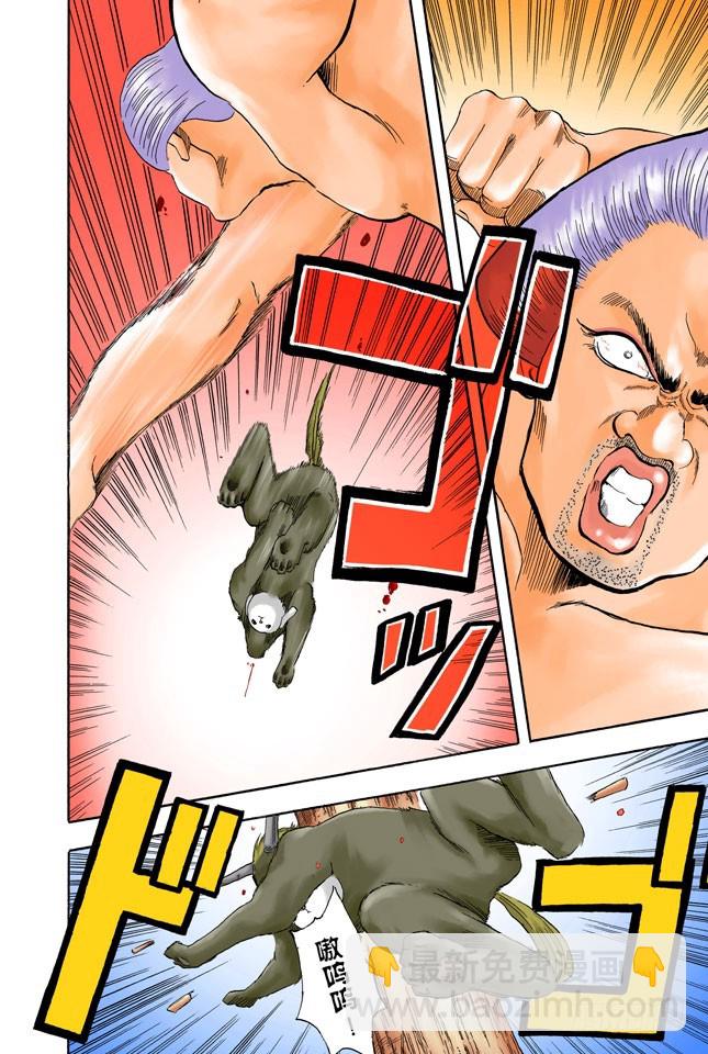 《银魂（全彩版）》可爱的面容下暗藏玄机！ 第16页