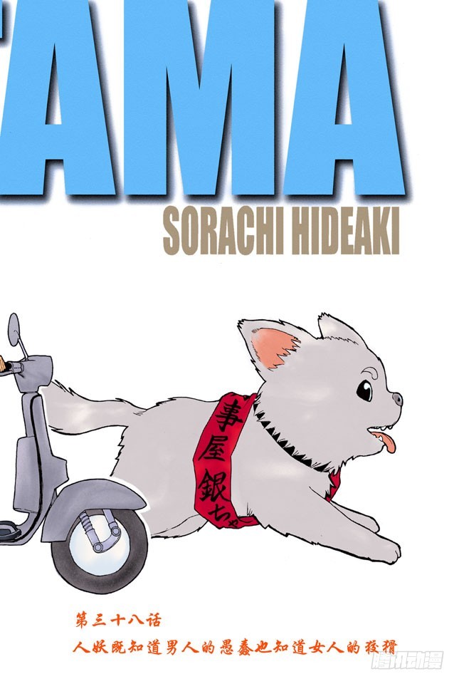 《银魂（全彩版）》人妖既知道男人的愚蠢也知道女人的狡猾 第1页