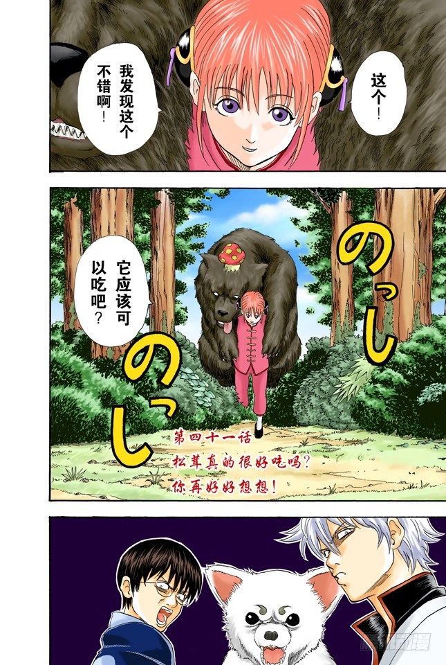 《银魂（全彩版）》松茸真的很好吃吗？你再好好想想！ 第3页