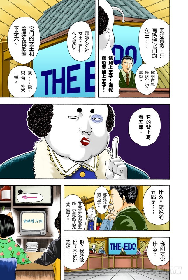《银魂（全彩版）》电视和报纸必须看仔细 第13页