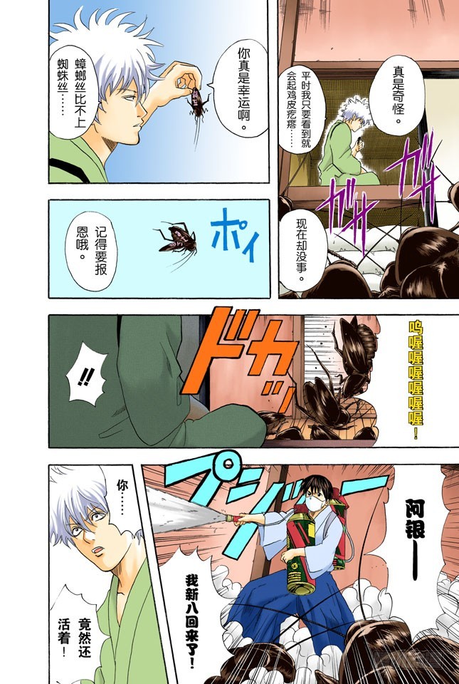 《银魂（全彩版）》电视和报纸必须看仔细 第16页