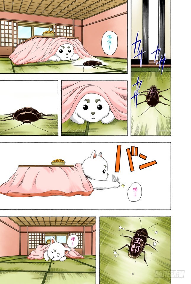 《银魂（全彩版）》电视和报纸必须看仔细 第19页