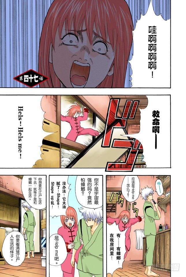 《银魂（全彩版）》电视和报纸必须看仔细 第1页