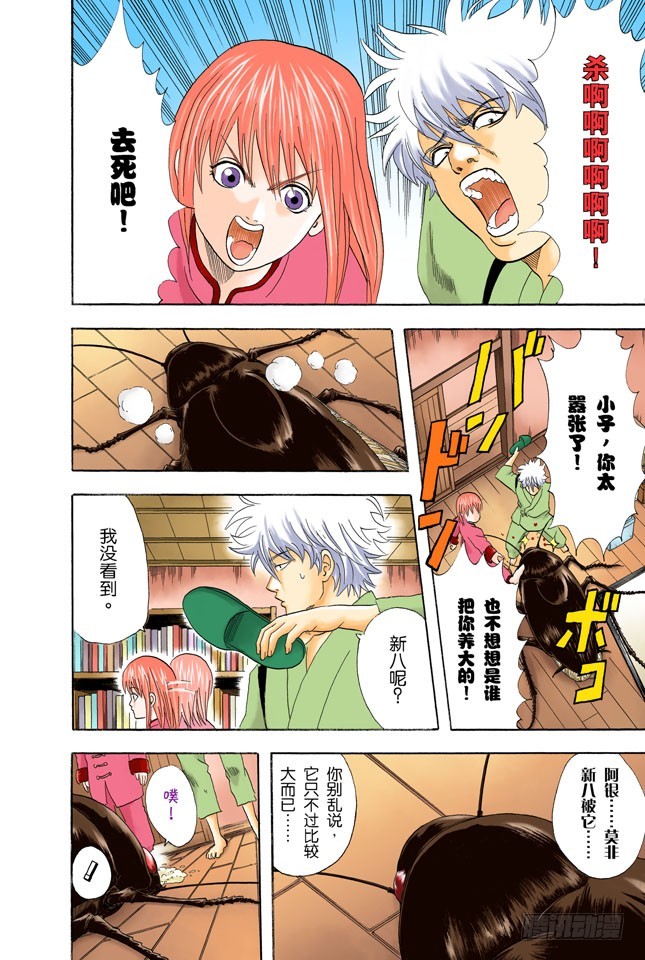 《银魂（全彩版）》电视和报纸必须看仔细 第8页