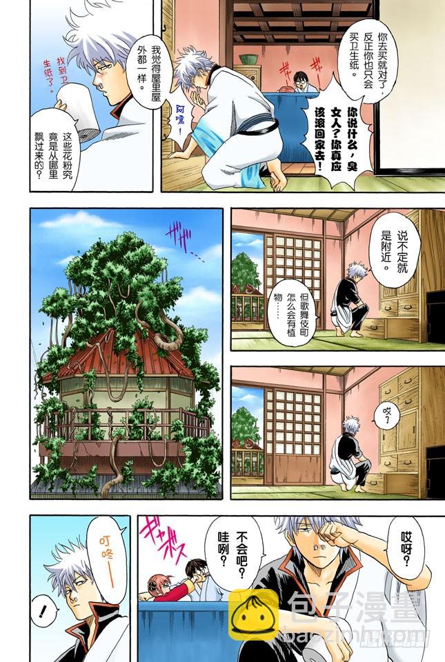 《银魂（全彩版）》樱桃会长成樱花树吗？ 第4页