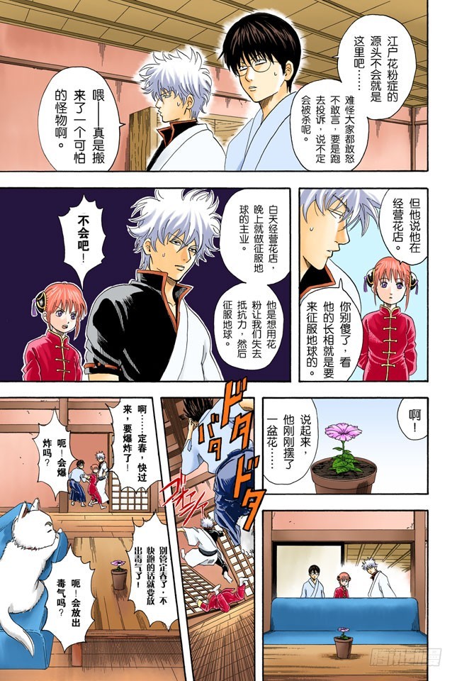 《银魂（全彩版）》樱桃会长成樱花树吗？ 第7页