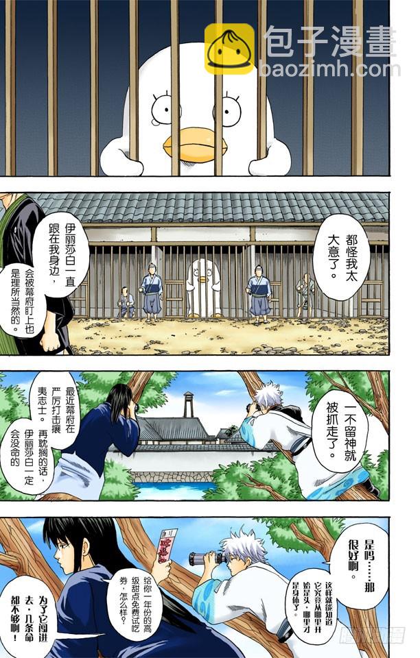 《银魂（全彩版）》M的意义是无敌 第3页