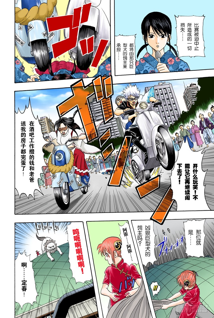 《银魂（全彩版）》遛狗请保持适当的速度 第14页