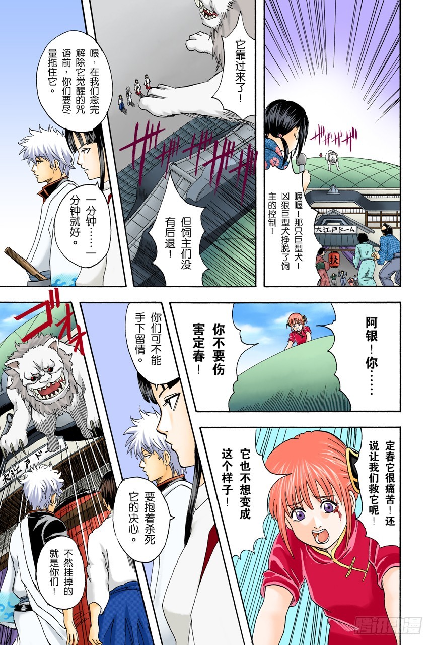 《银魂（全彩版）》遛狗请保持适当的速度 第15页
