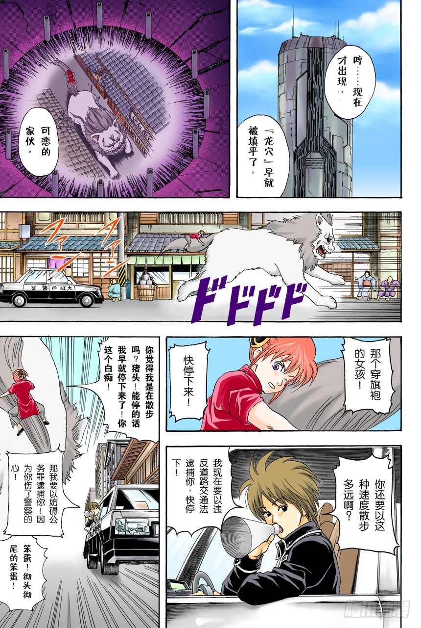 《银魂（全彩版）》遛狗请保持适当的速度 第7页