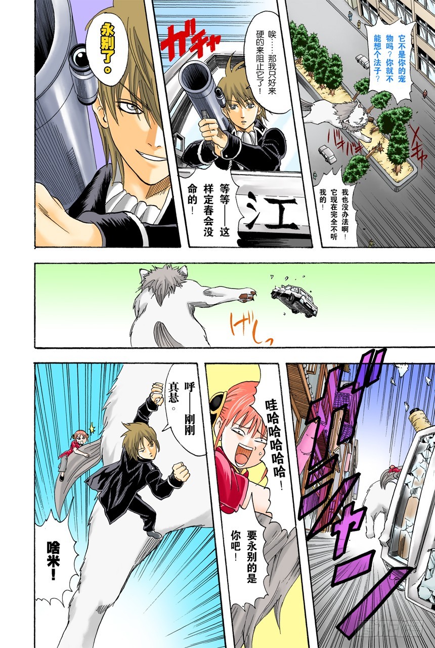 《银魂（全彩版）》遛狗请保持适当的速度 第8页