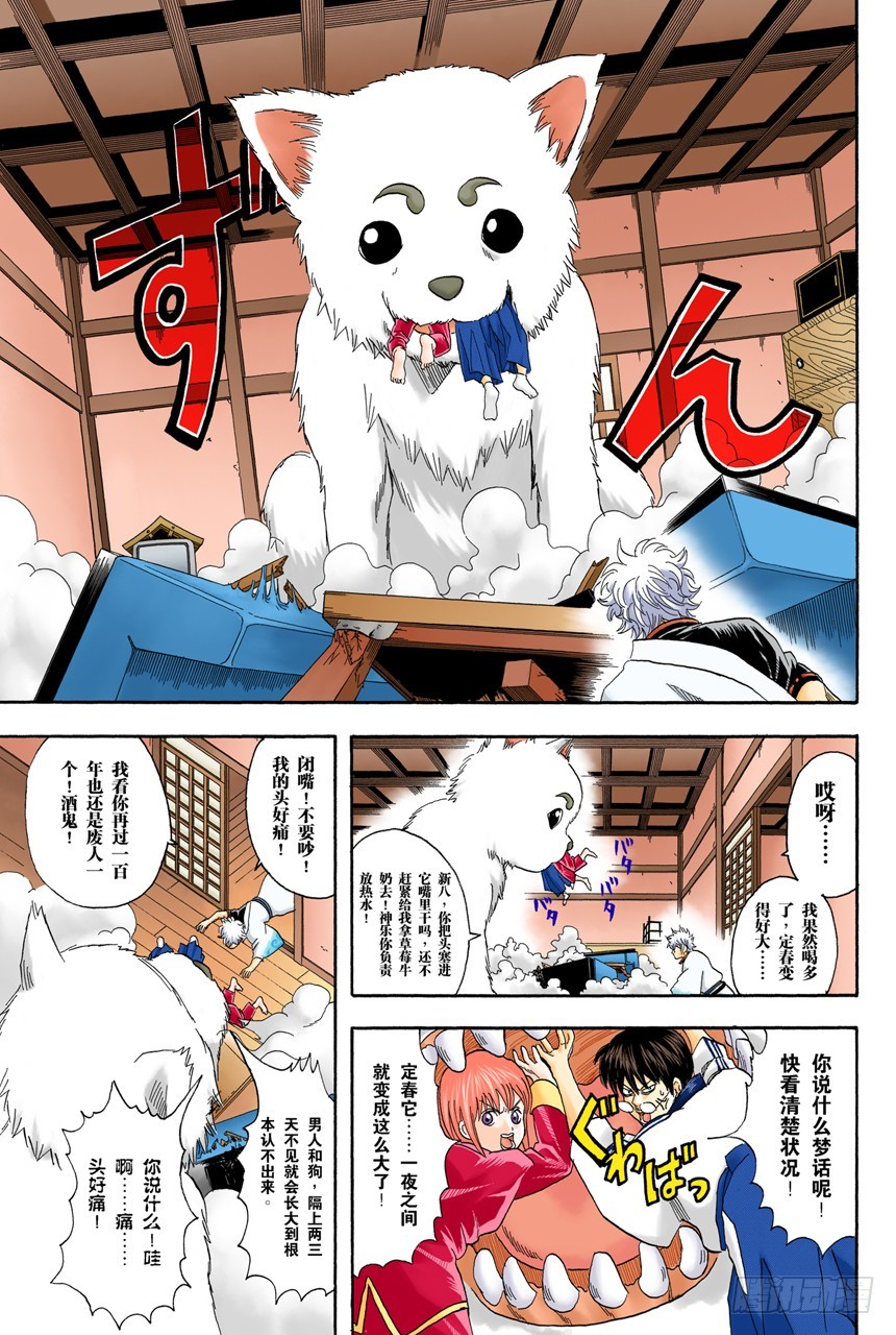 《银魂（全彩版）》酒要在喝到最爽时停下来 第5页