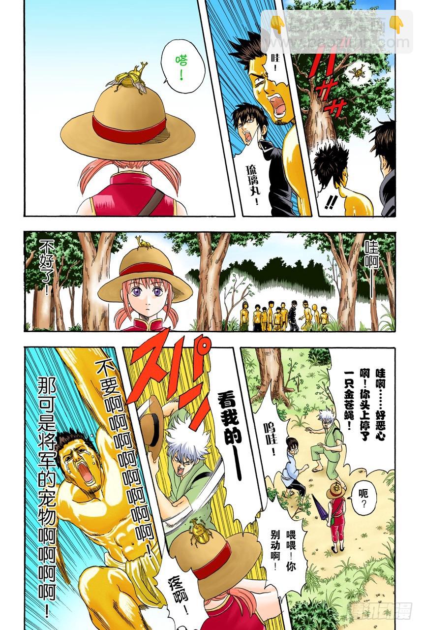 《银魂（全彩版）》匹夫不可夺志 第10页