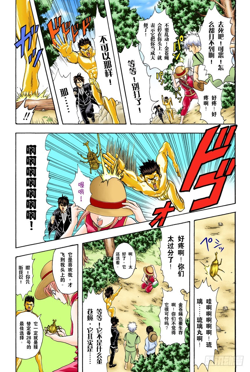 《银魂（全彩版）》匹夫不可夺志 第11页