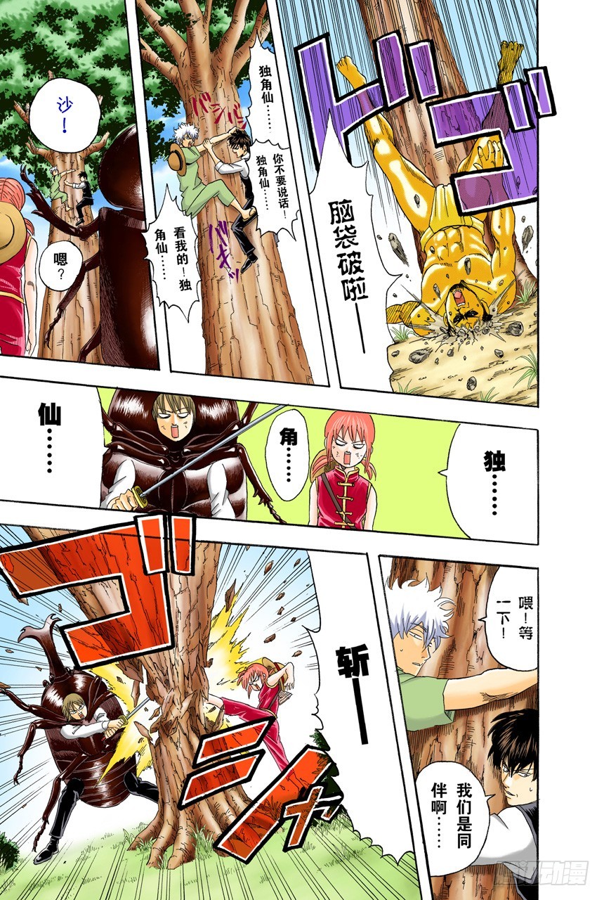 《银魂（全彩版）》少年会通过独角仙去体会生命的可贵 第17页