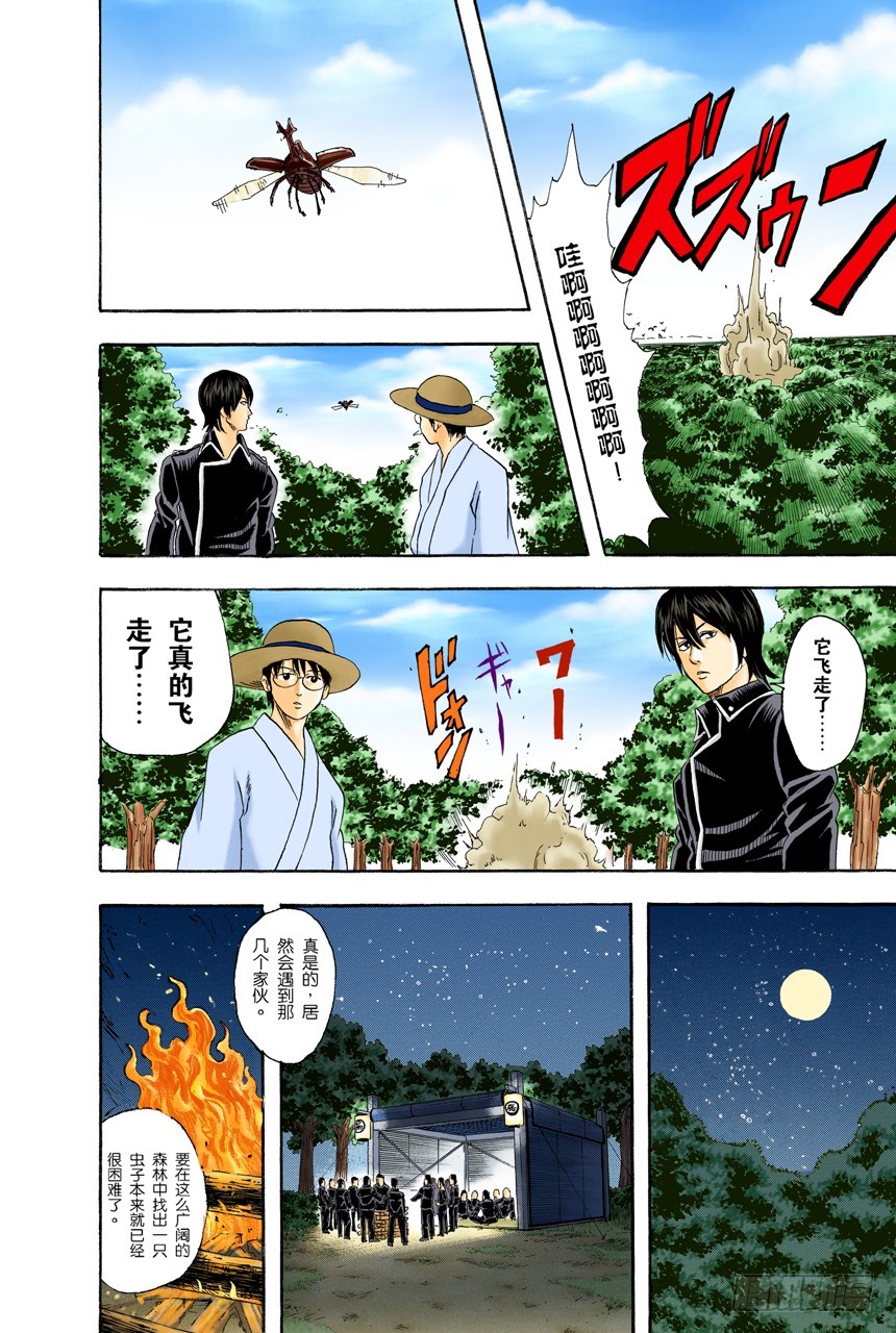 《银魂（全彩版）》少年会通过独角仙去体会生命的可贵 第18页