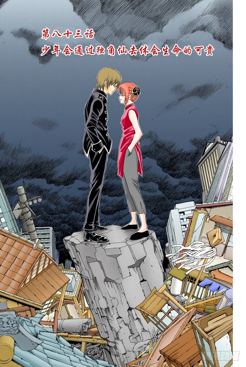《银魂（全彩版）》少年会通过独角仙去体会生命的可贵 第3页