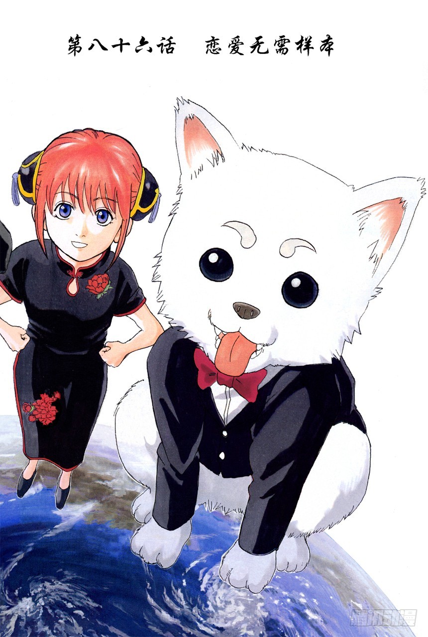 《银魂（全彩版）》恋爱无需样本 第1页