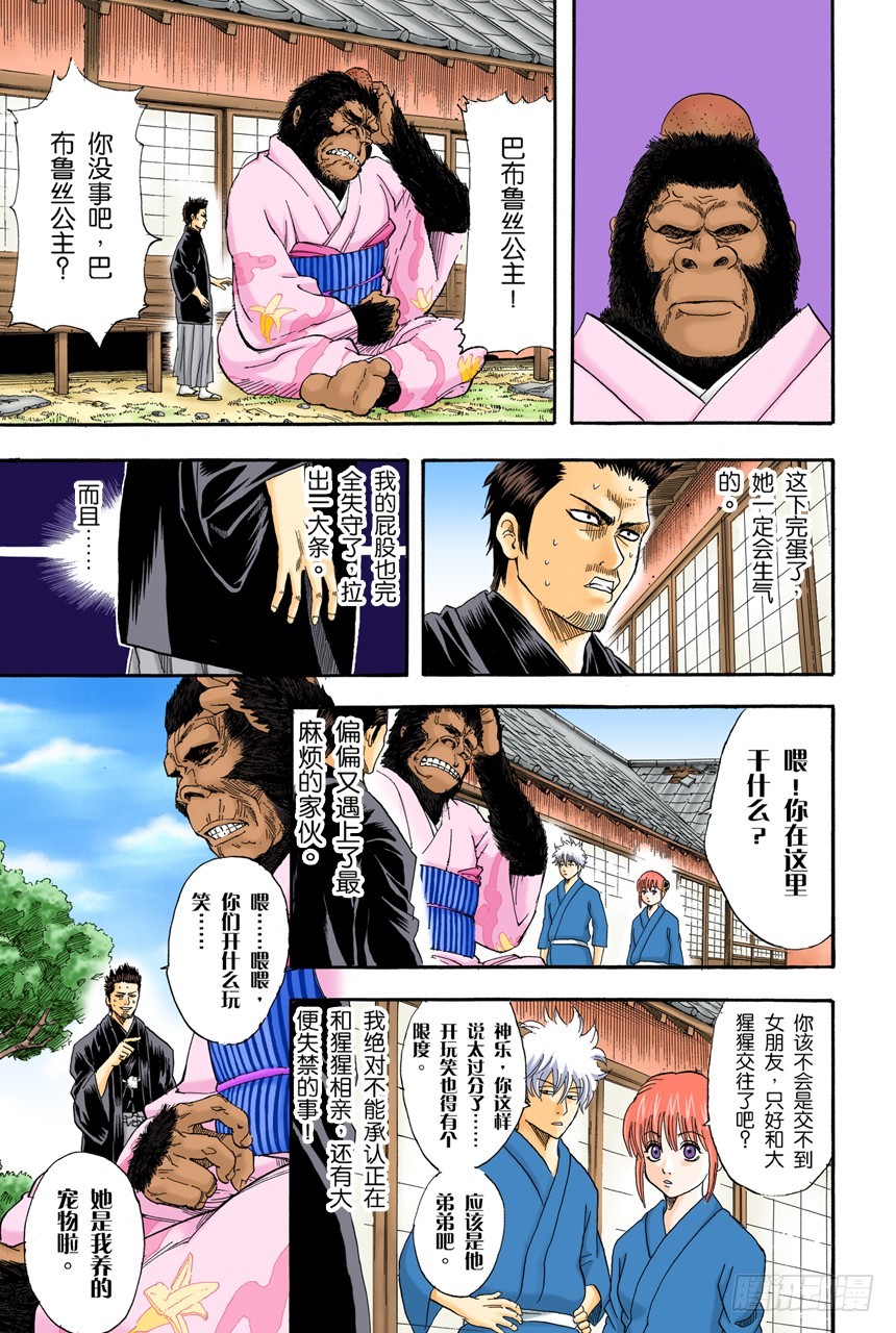 《银魂（全彩版）》星期二晚上七点记得在餐桌前收看坂田家的演出 第6页