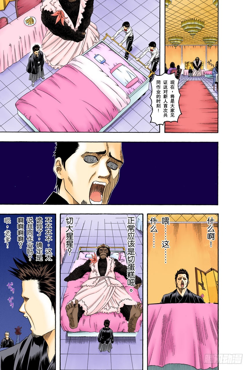 《银魂（全彩版）》女人最好的化妆就是笑容 第11页