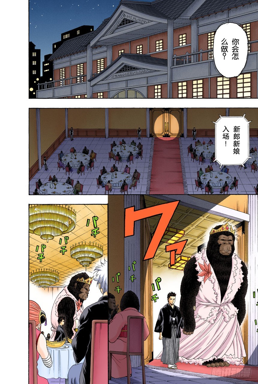 《银魂（全彩版）》女人最好的化妆就是笑容 第8页