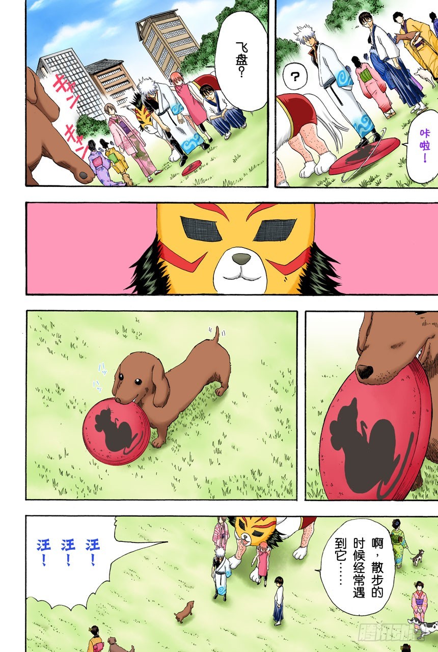 《银魂（全彩版）》狗狗的肉垫有种香味呢 第10页