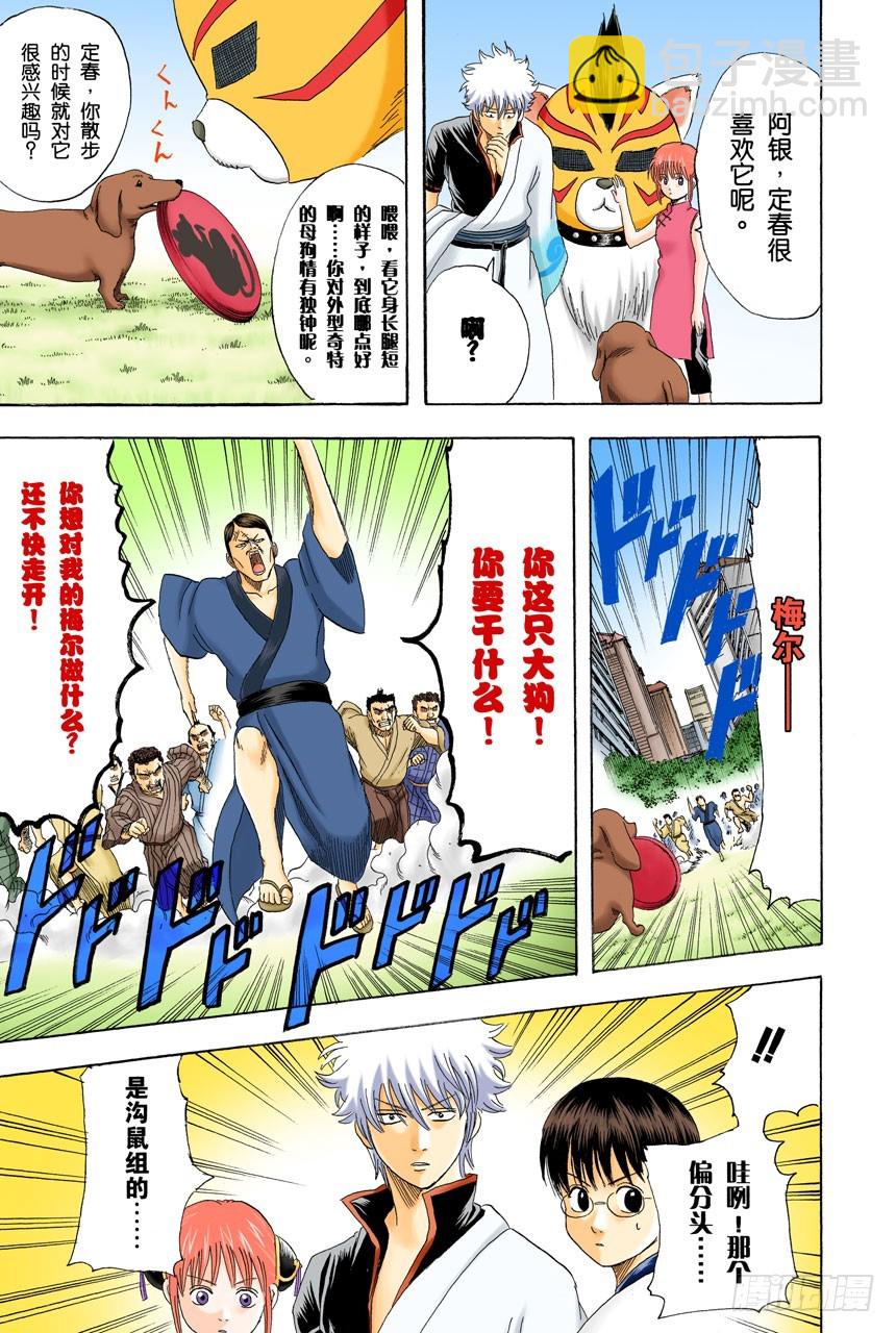 《银魂（全彩版）》狗狗的肉垫有种香味呢 第11页