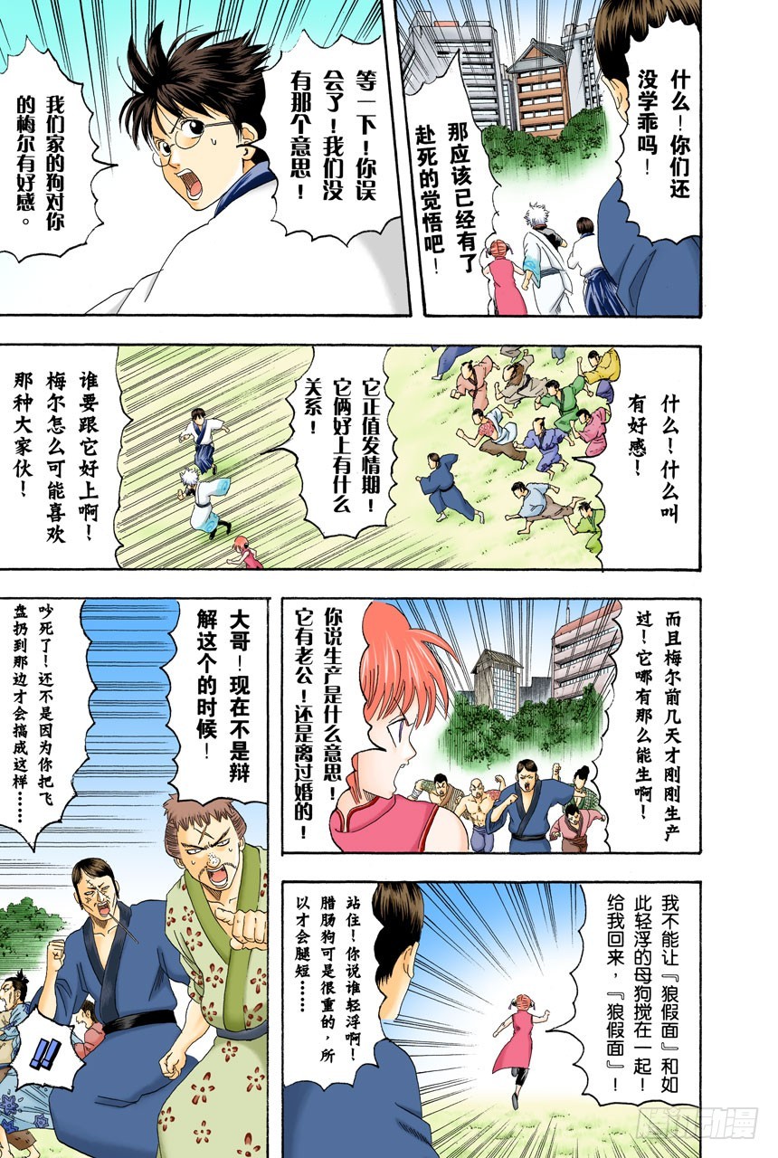 《银魂（全彩版）》狗狗的肉垫有种香味呢 第13页