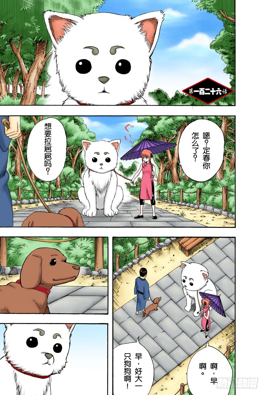 《银魂（全彩版）》狗狗的肉垫有种香味呢 第1页